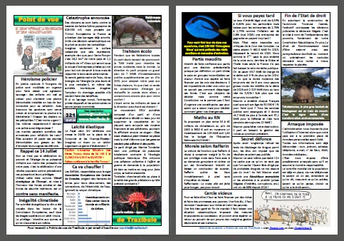 Journal Trazibule